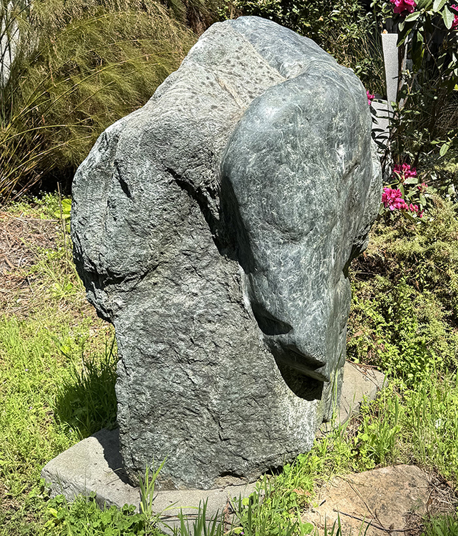 Sage in the Mountain