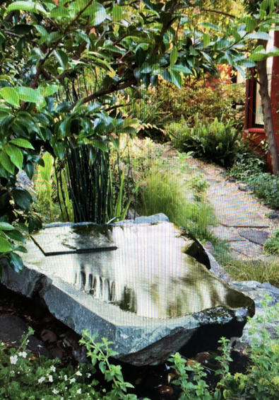 Landscape in Kentfield, CA