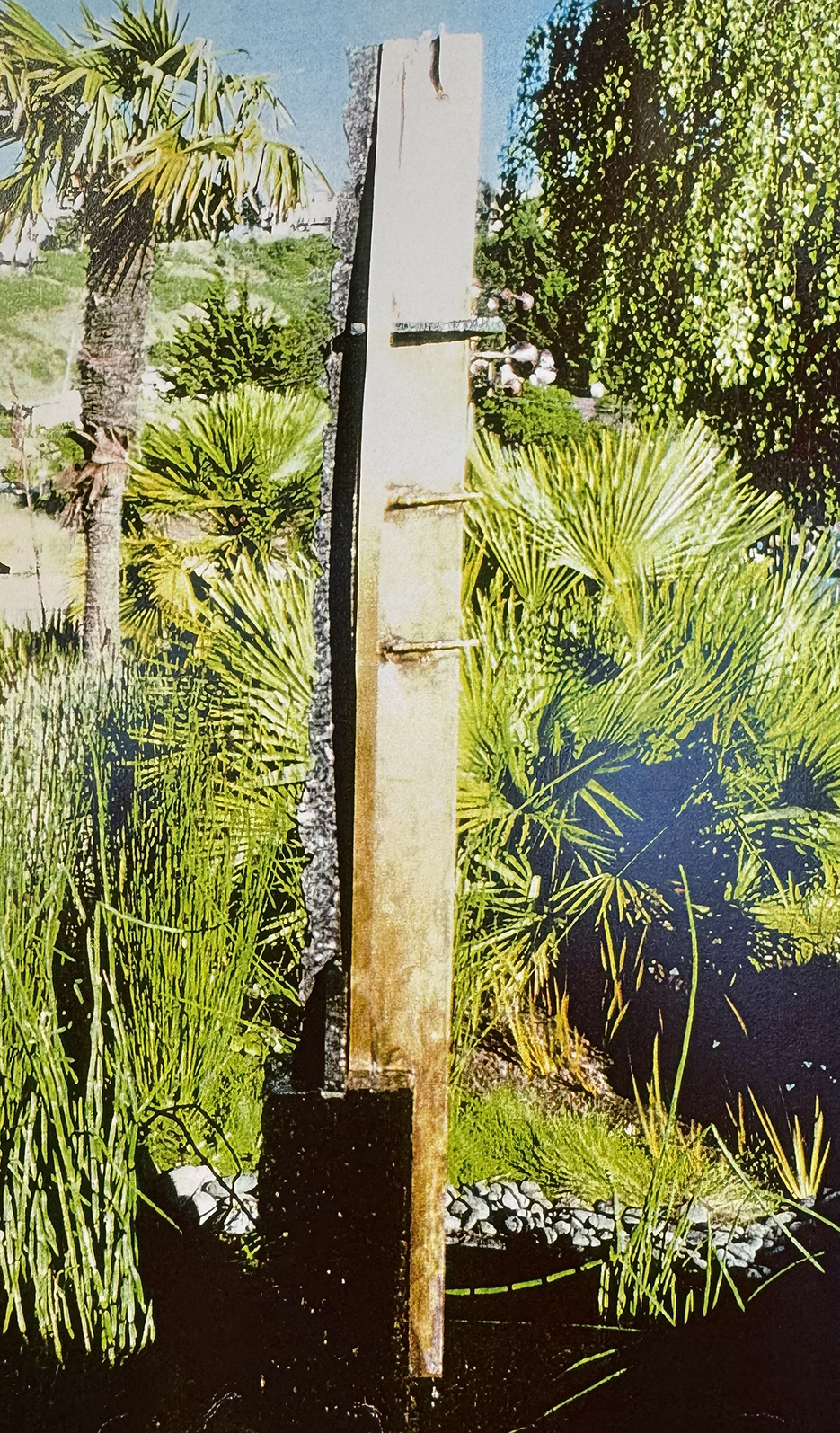 Add Your Description